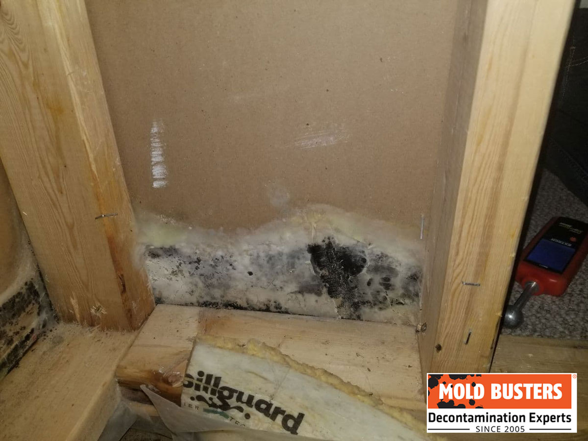 mold on drywall in closet area