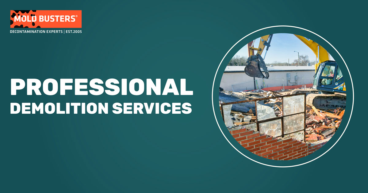 professional demolition service