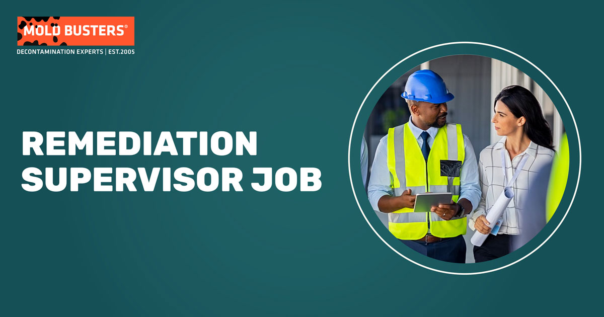 Remediation Supervisor Job Mold Busters