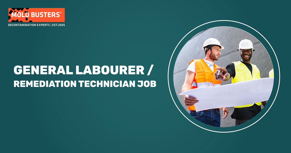 General Labourer / Remediation Technician Job Mold Busters