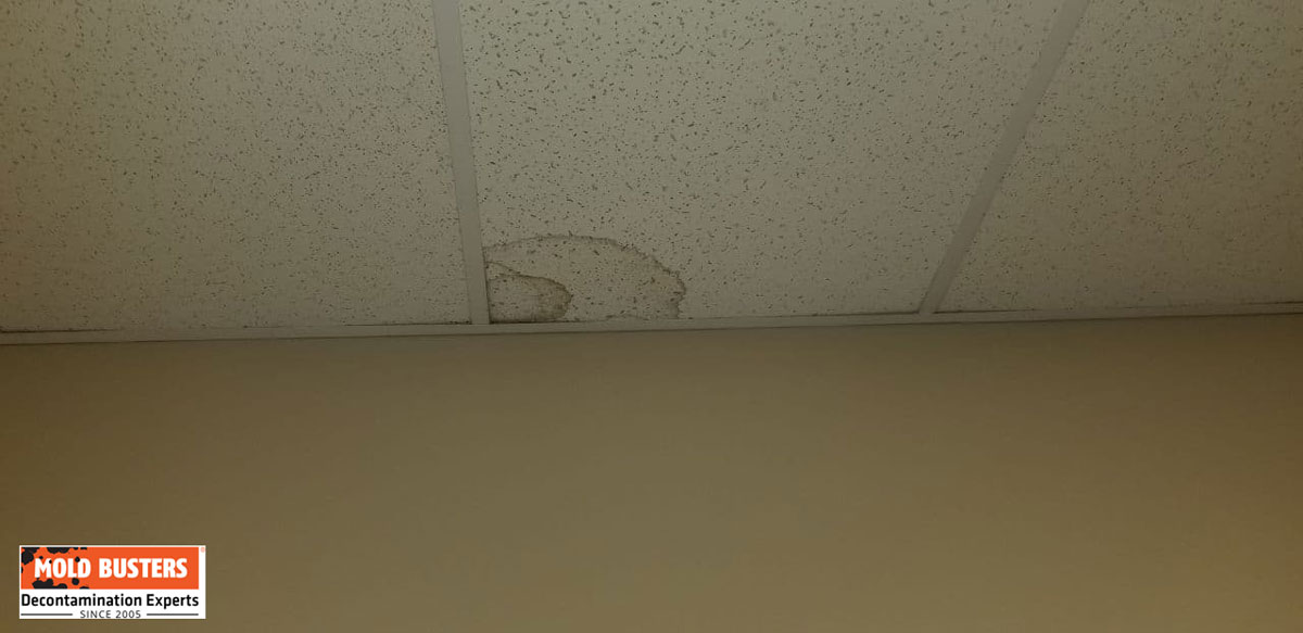 stain on ceiling from water leak