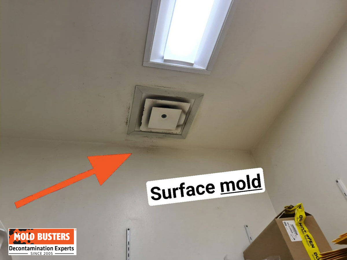ventilation in workplace with surface mold