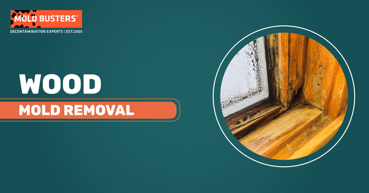 Wood Mold Removal