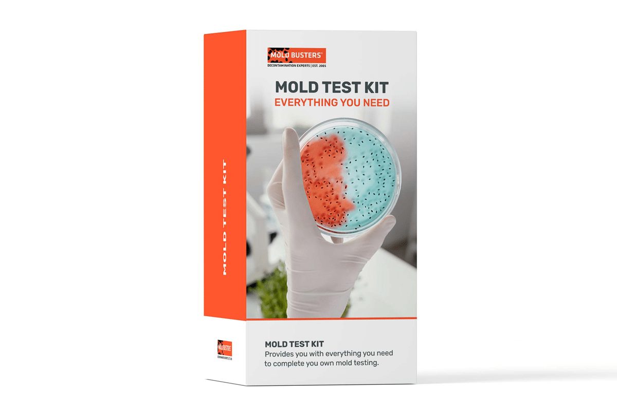 Mold Test Kit  DIY Toxic Mold Test by Mold Busters