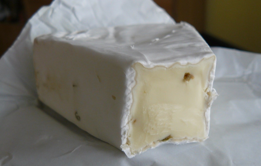 Mycelium of Penicillium camemberti on the surface of the Camembert cheese