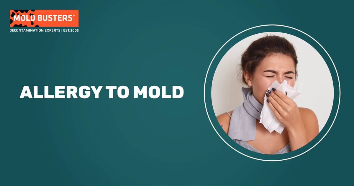allergy to mold