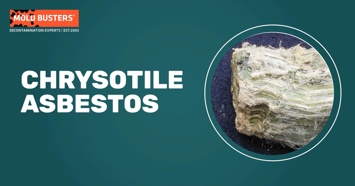 Chrysotile Asbestos