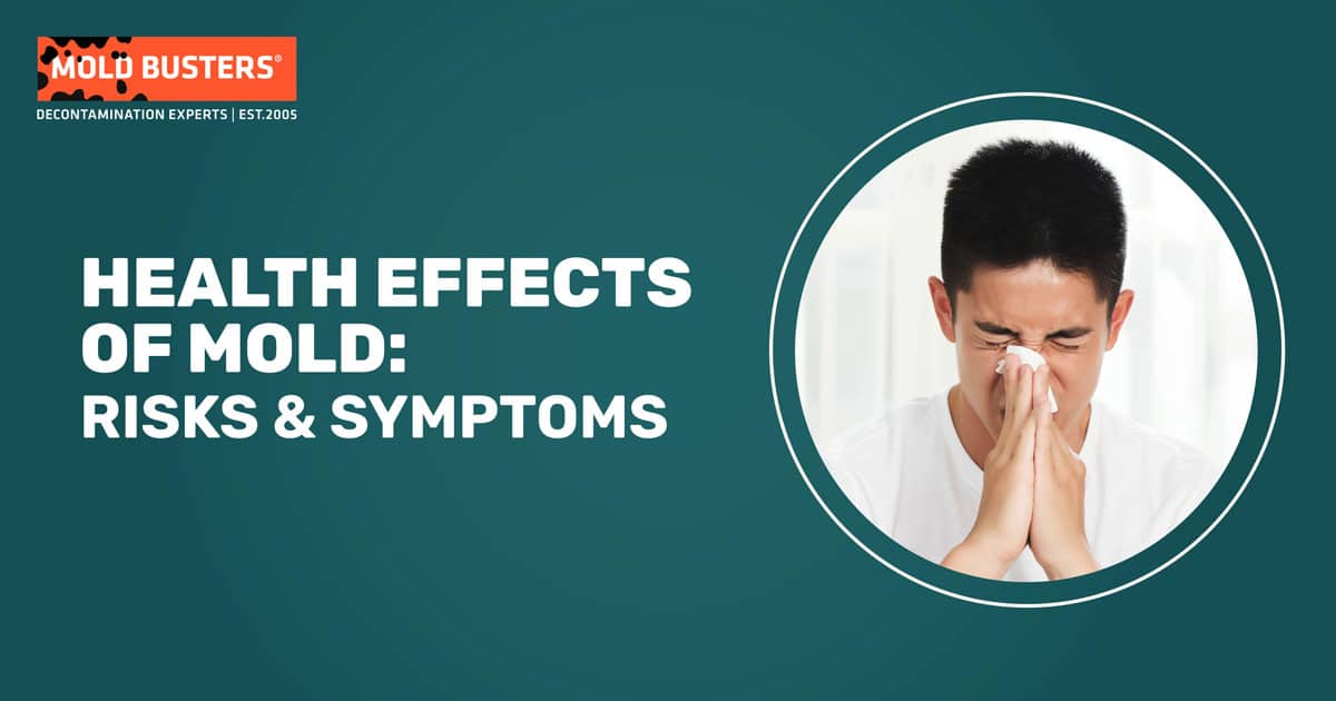 health effects of mold