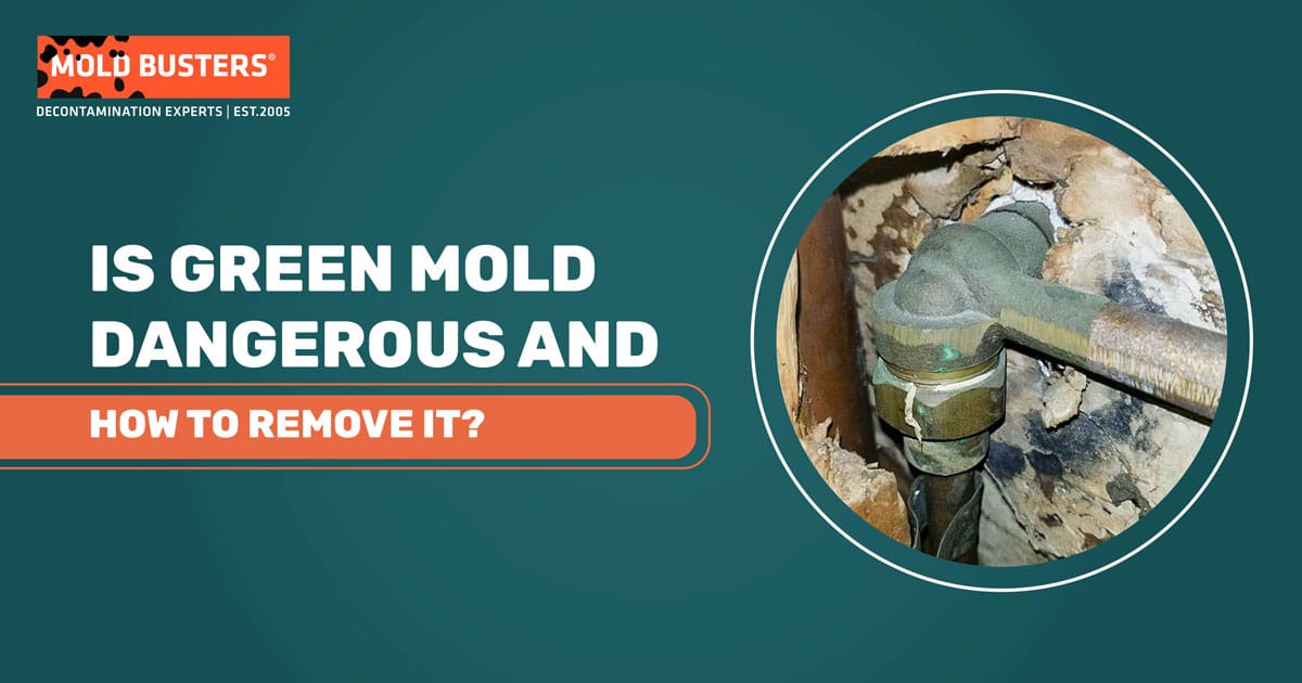 is green mold dangerous