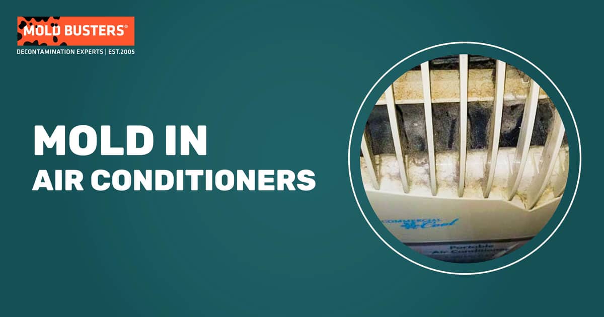 mold in air conditioners