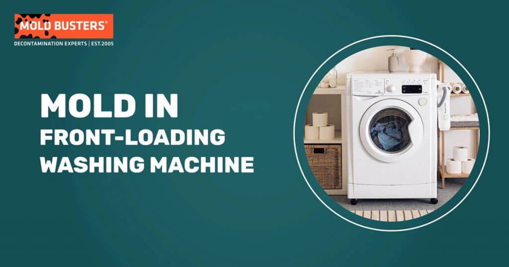 Mold removal front load washing machine