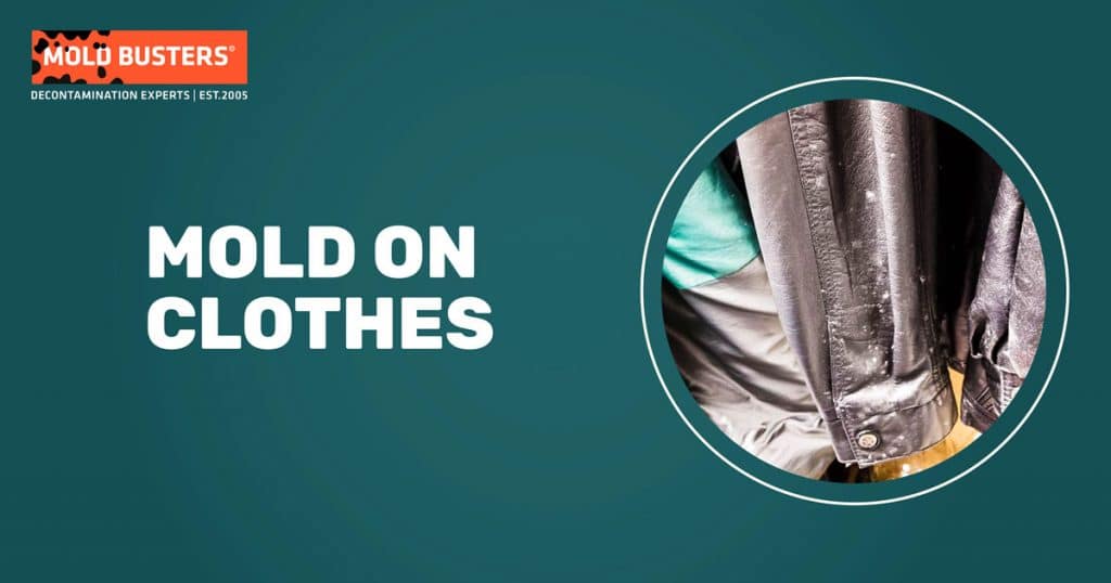 Ultimate Guide to Mold on Clothes Prevention, Identification, and Removal