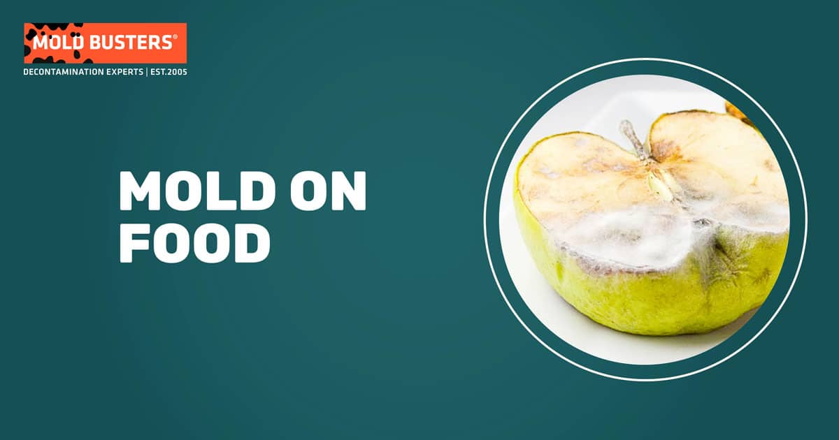 mold on food