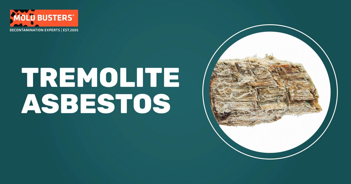 Tremolite Asbestos