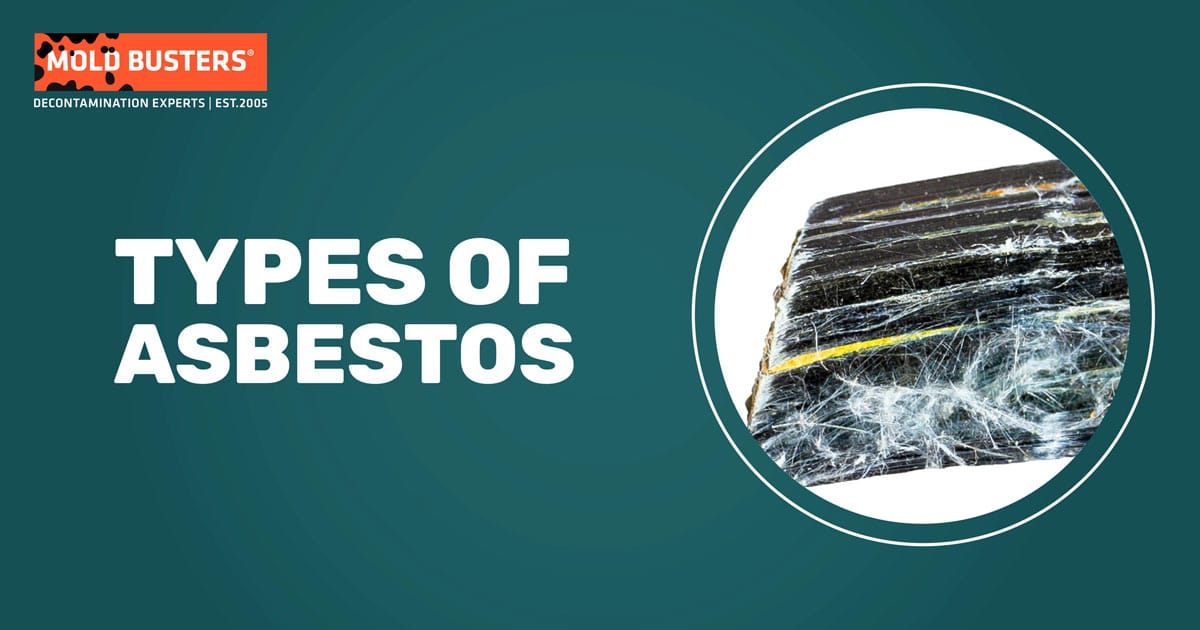 6 Types of Asbestos Materials Mold Busters