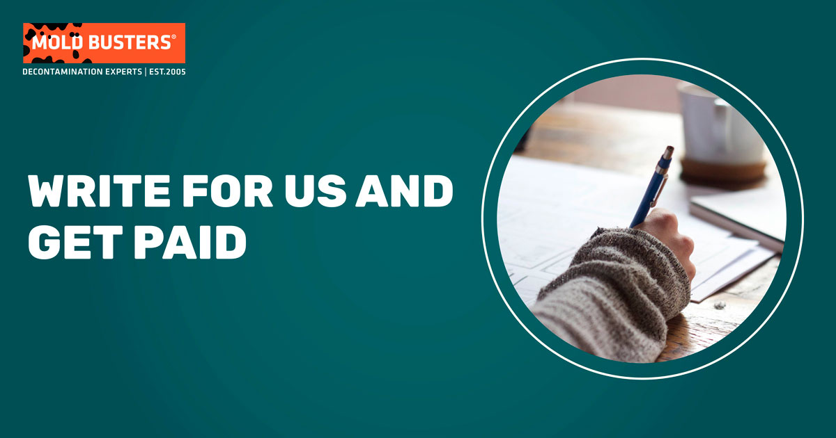Write for Us and Get Paid - Mold Busters