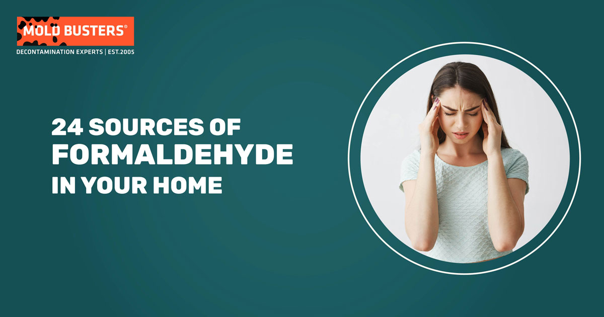 24 Sources Of Formaldehyde In Your Home Mold Busters