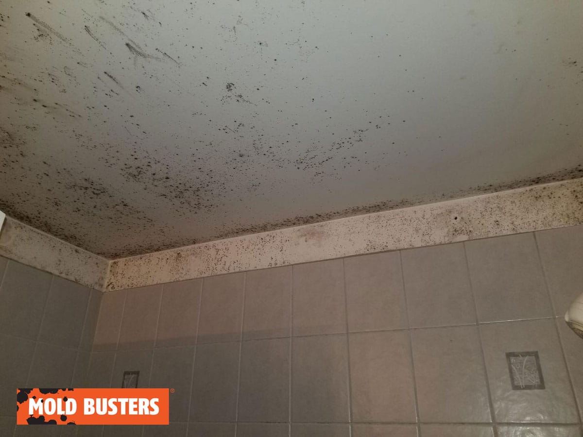 mold on bathroom ceiling above shower