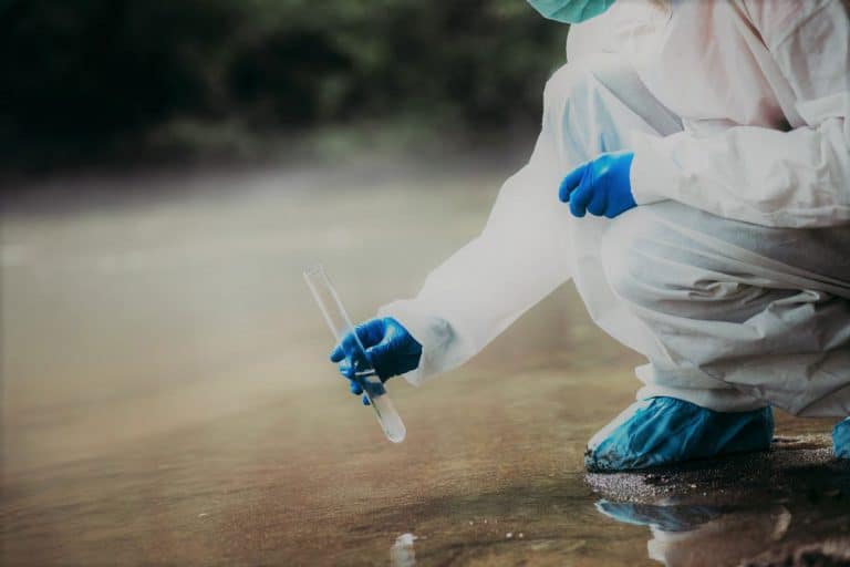 Mold in Water Can Mold Grow in Water Sources?