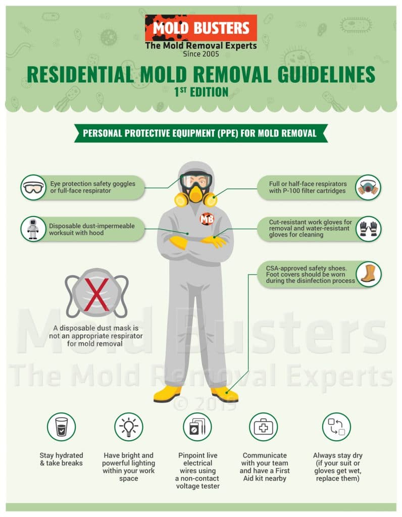 Personal Protective Equipment for Mold Removal