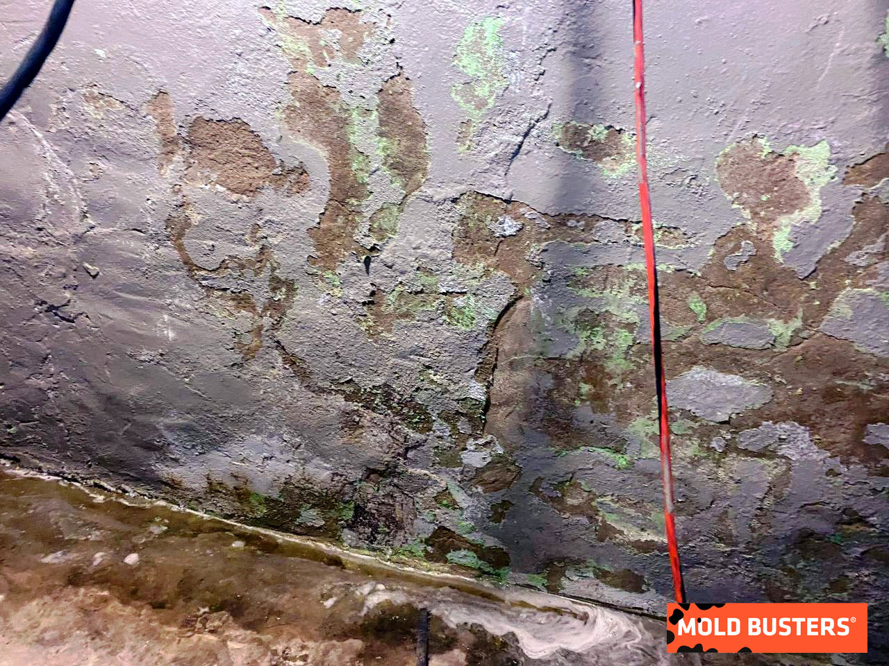 efflorescence vs mold difference