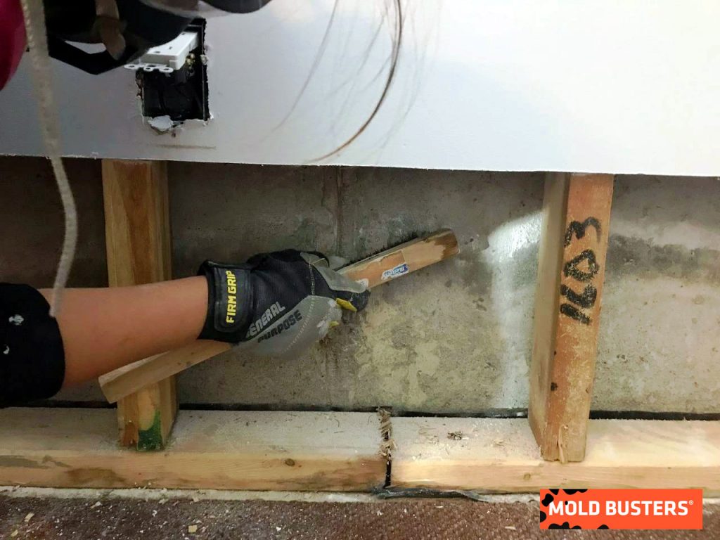 Mold vs Efflorescence How to Identify the Difference?