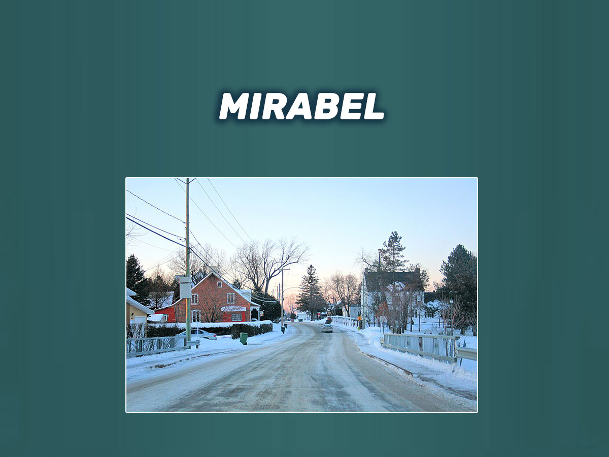 mirabel Mold Removal