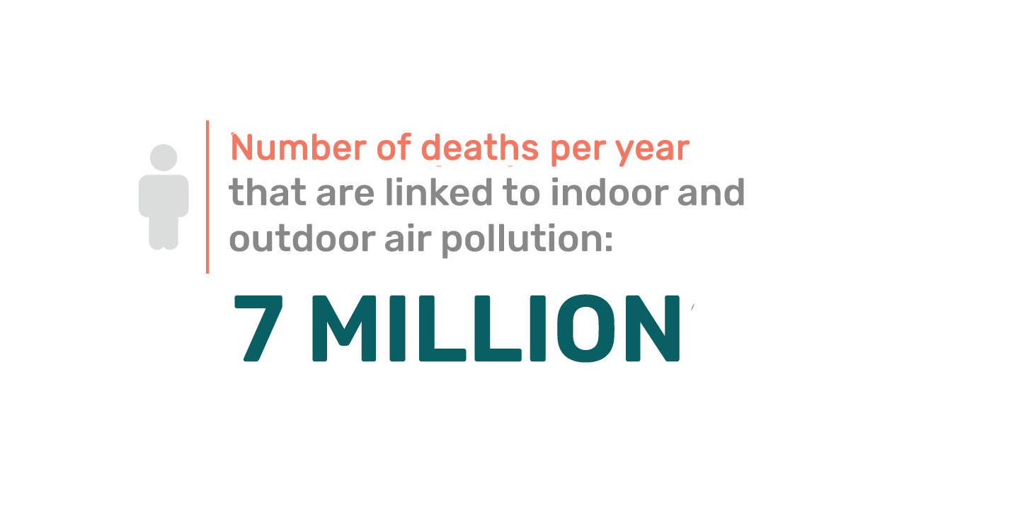 Fact Deaths Lined to Air Pollution