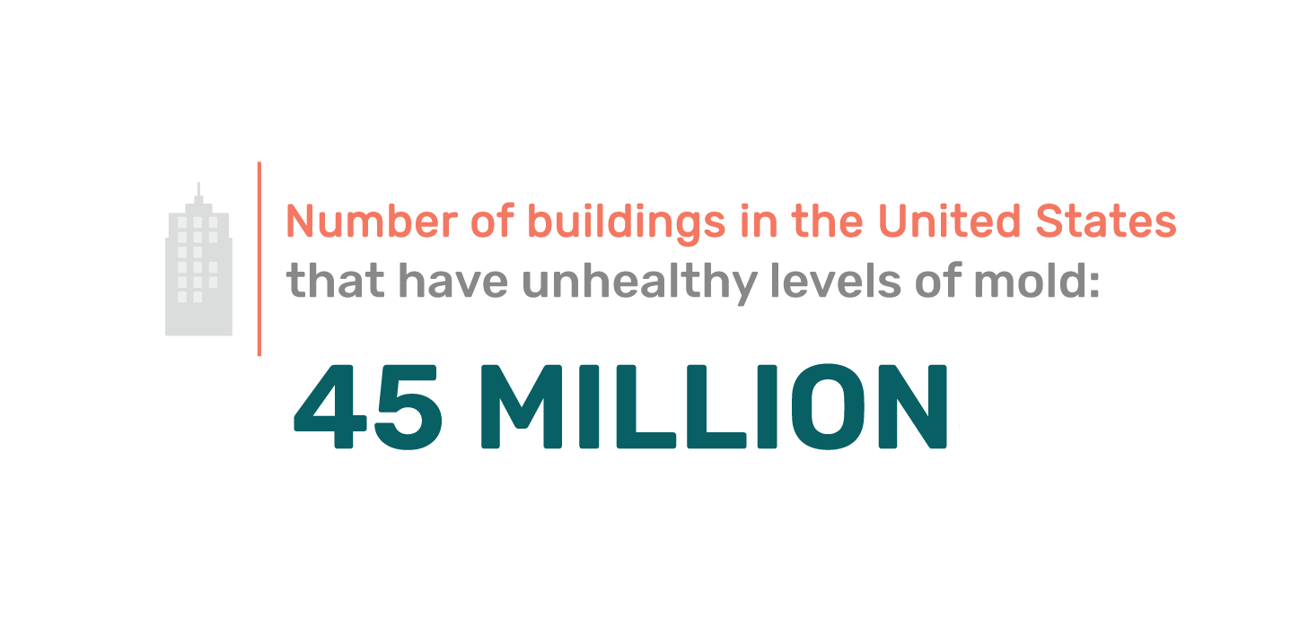 Fact Unhealthy Levels of Mold