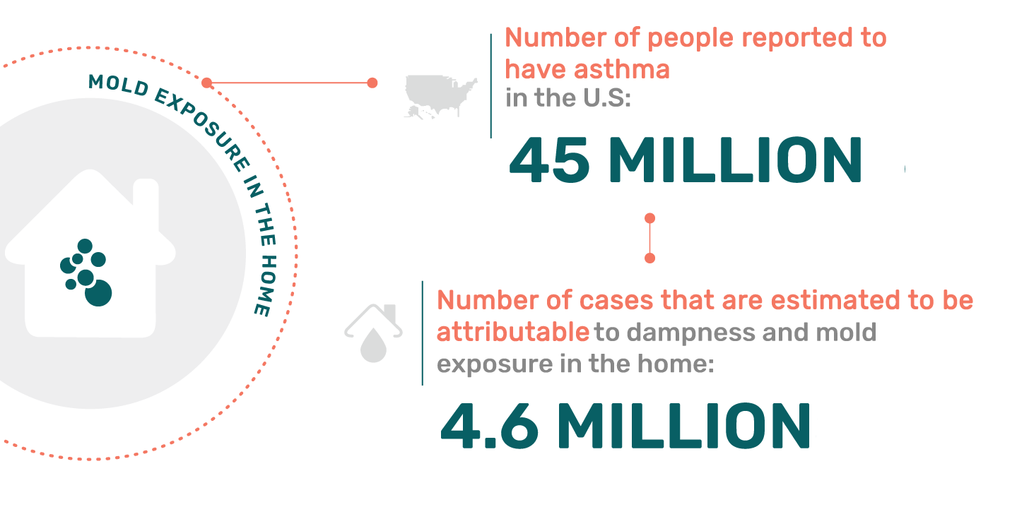 Fact Mold Exposure in Homes