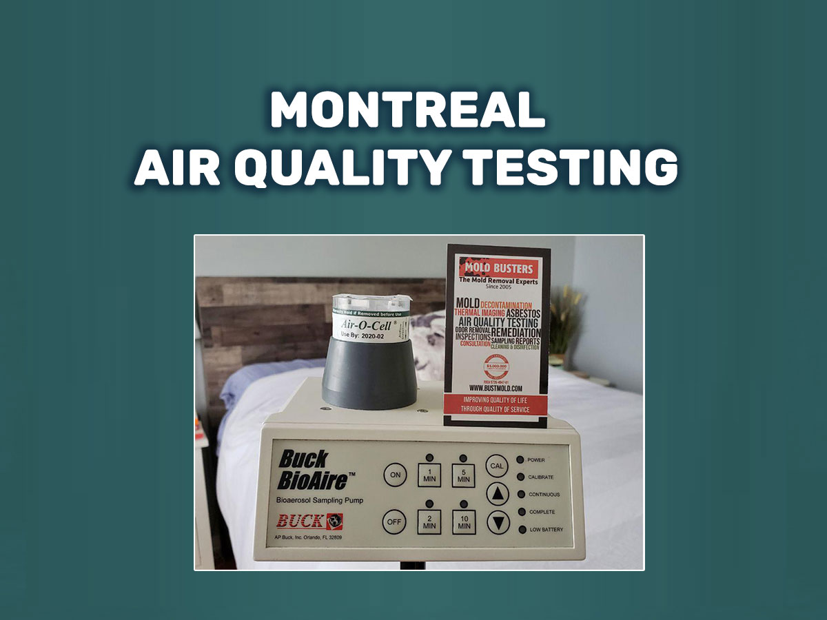 Montreal Air Quality Testing | Mold Busters