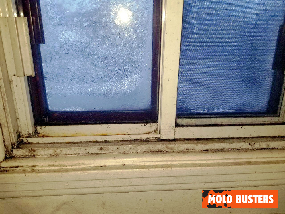 black mold around window sills