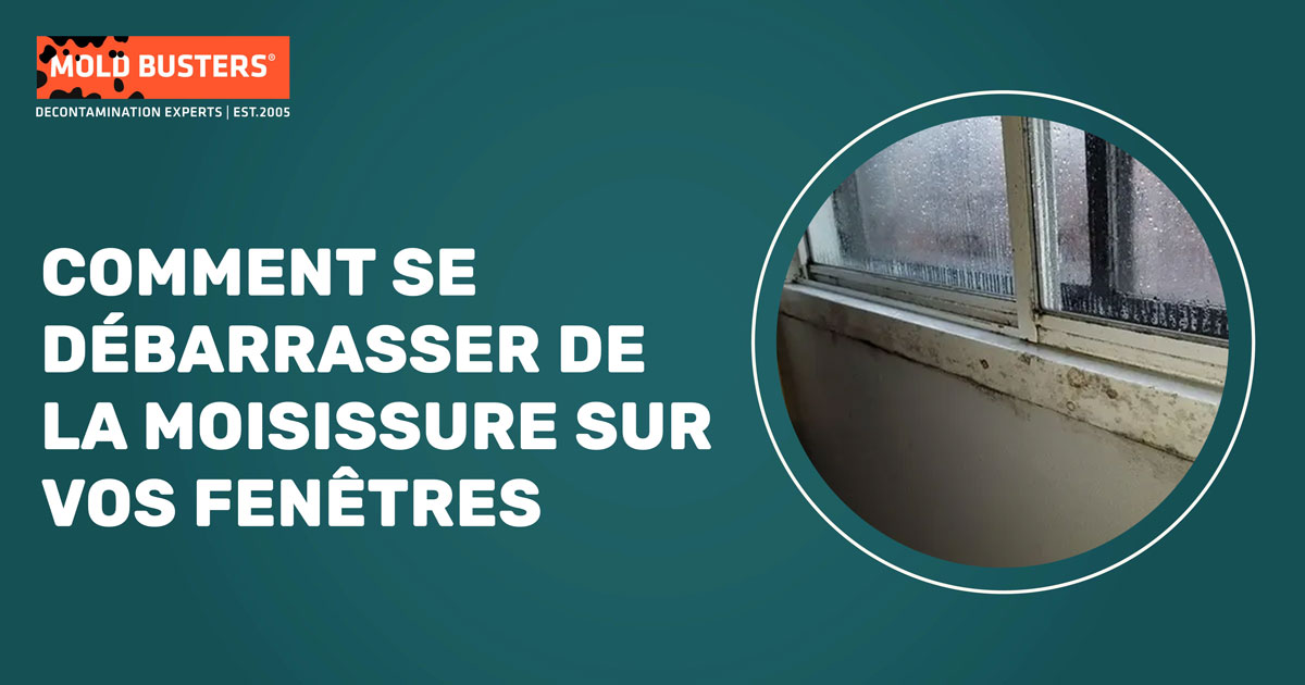 service de suppression de moisissure sur fenêtre