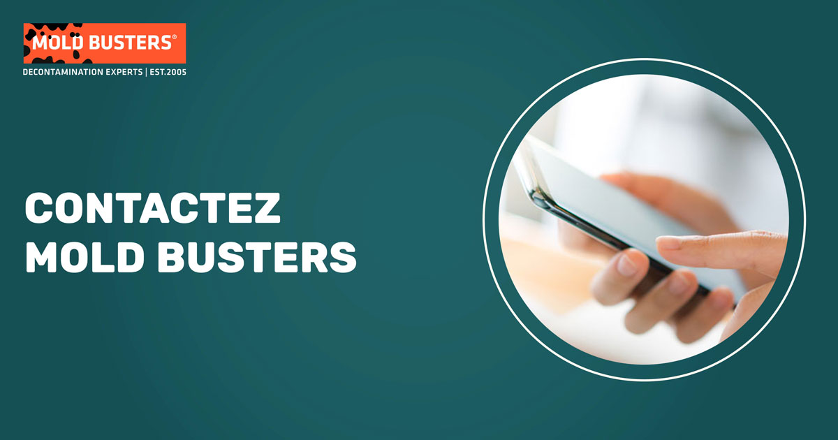 Contactez Mold Busters