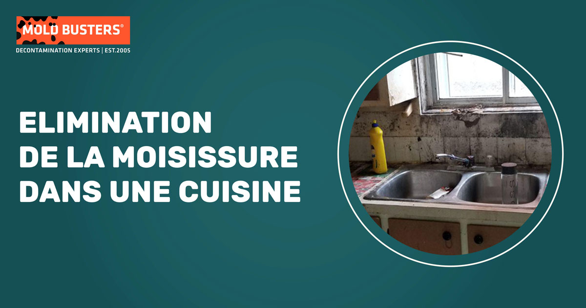 service d'élimination de moisissure dans la cuisine