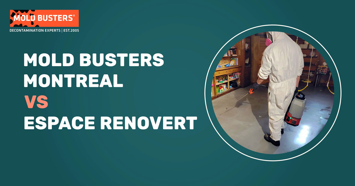 Espace Renovert vs Mold Busters Montreal