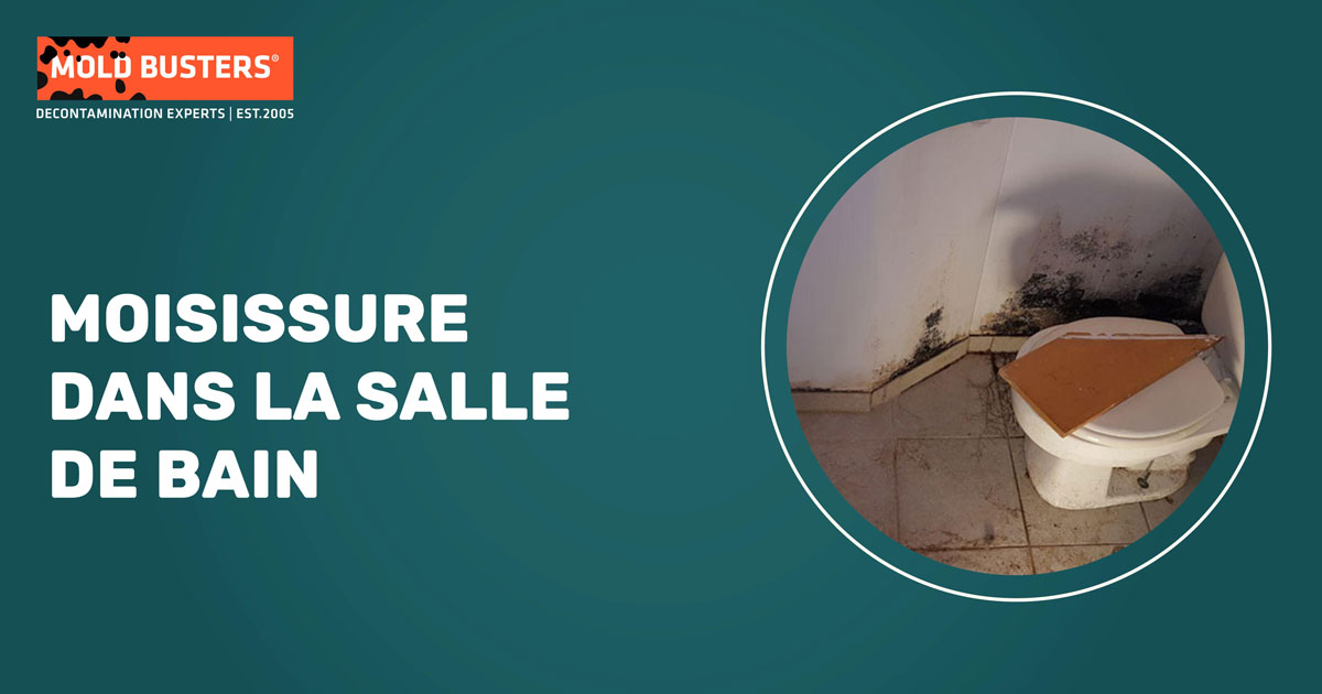 service d'élimination de moisissures de salle de bain