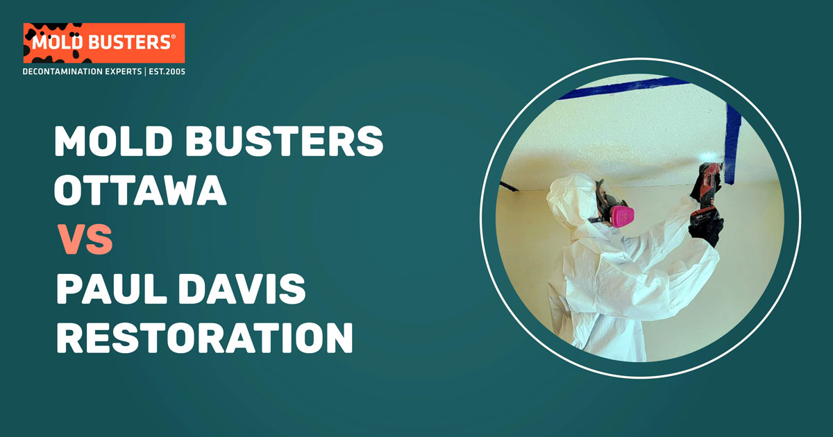 Paul Davis Restoration vs Mold Busters Ottawa