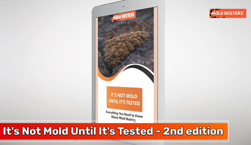 Its Not Mold Until Tested - Download