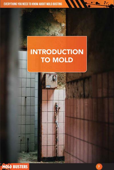 Book Its Not Mold Until Tested - Introduction