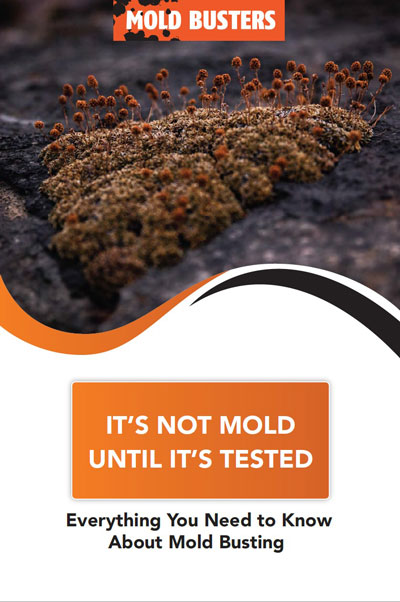 Book It's Not Mold Until Testedbook it's not mold until tested