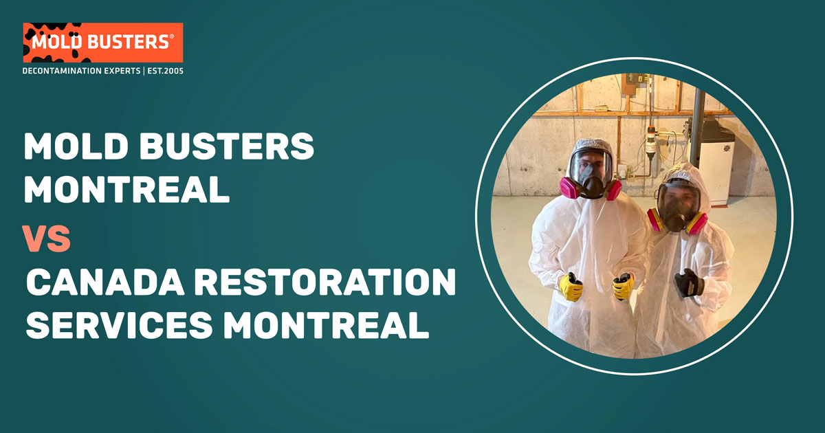 canada restoration sevices montreal vs mold busters montreal