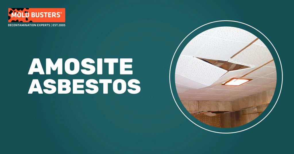 Amosite Asbestos - Is it Safe & Where To Look For it?