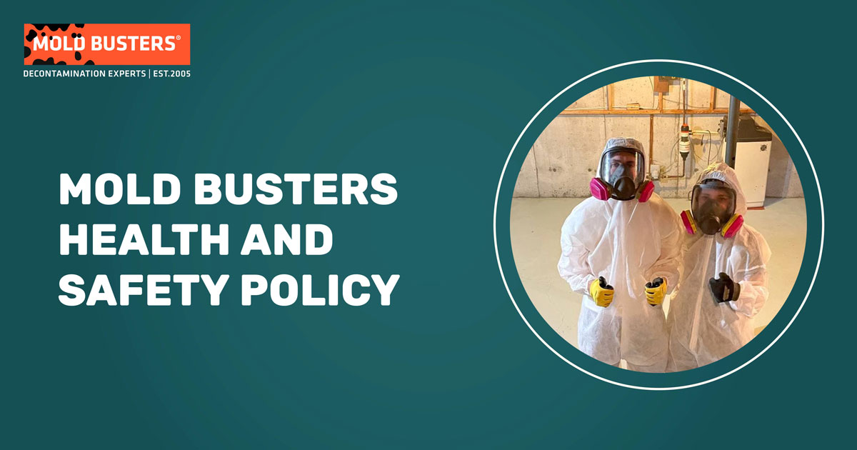 Política de salud y seguridad de Mold Busters