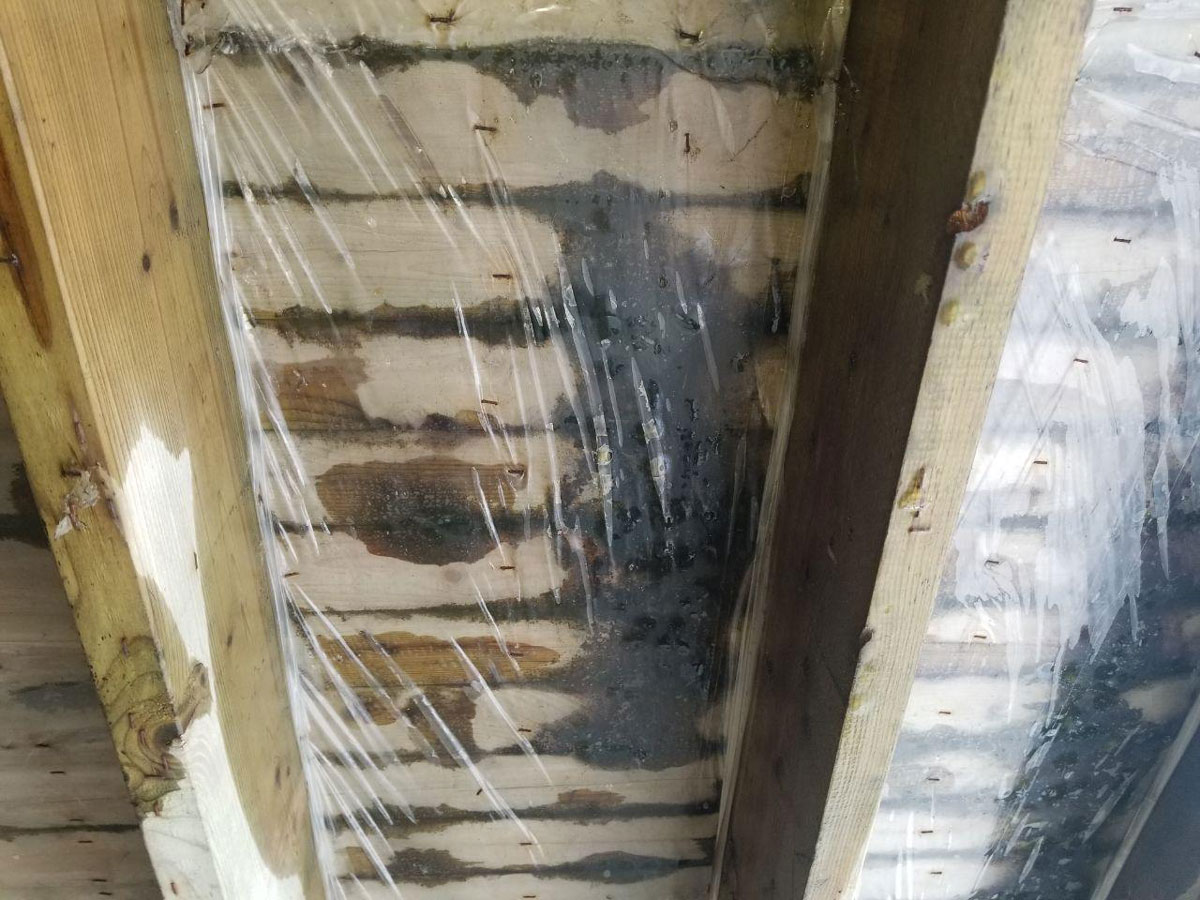 Poorly ventilated room with excess water leading to mold on porous wood