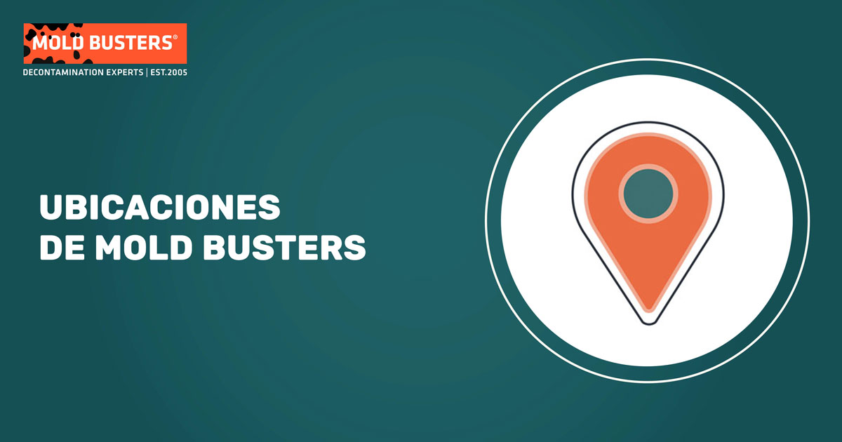 banner de ubicaciones de Mold Busters