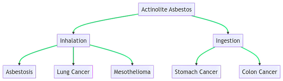 actinolite asbestos health risks infographic