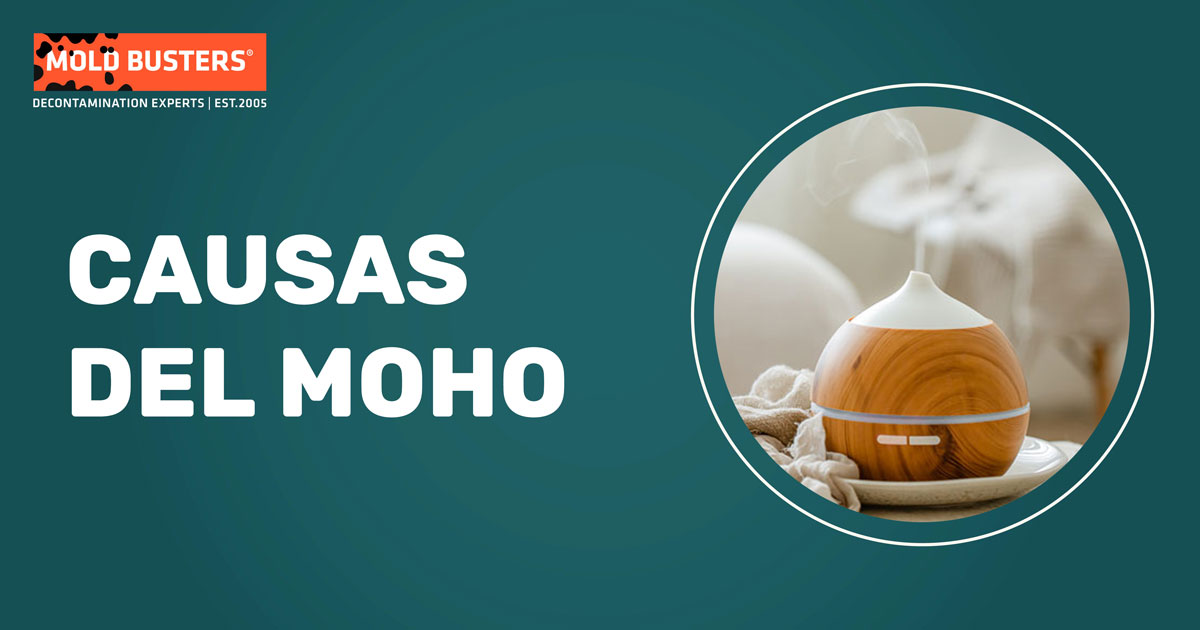 causas del moho