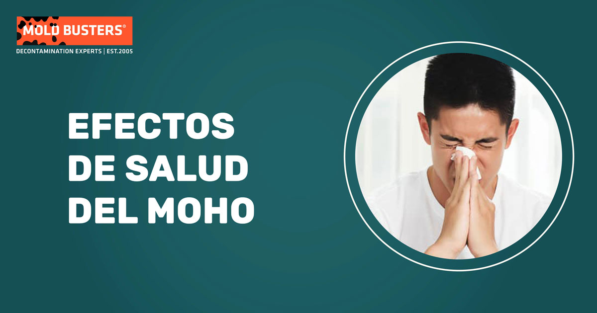 health effects of mold