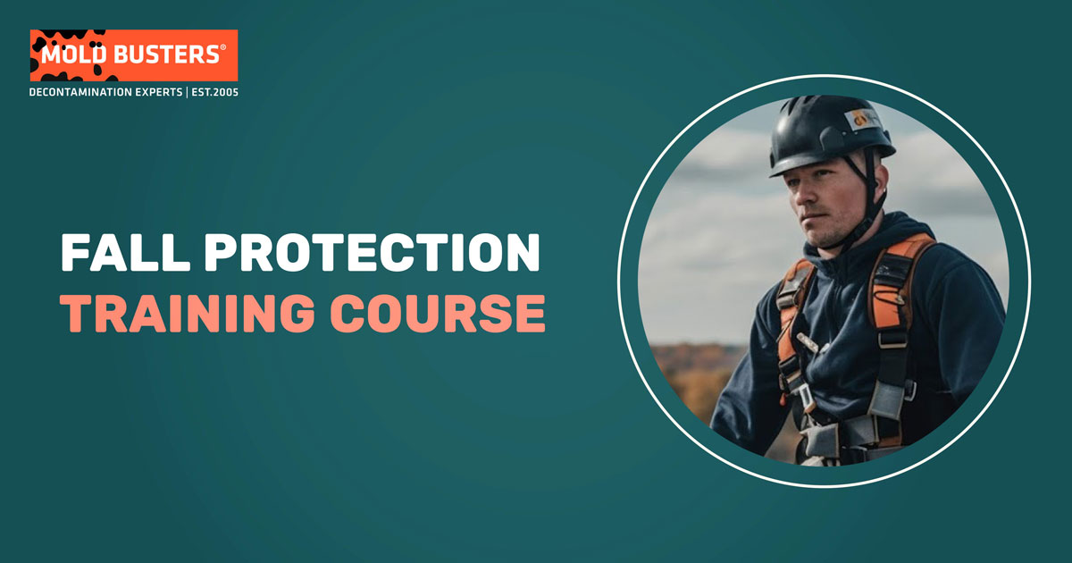 Fall Protection Training Course Master Workplace Safety Today